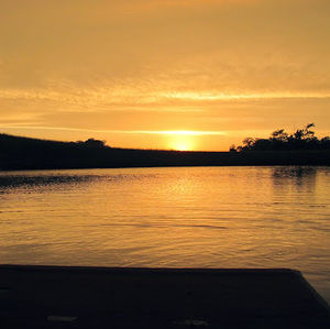 Meet your Posher, Veronica j v